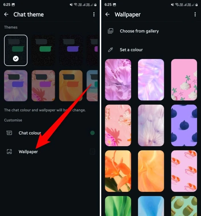 WhatsApp Plus change themes